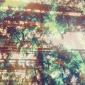 The Gardener、Bamboo Smoke - Treehouses (TheGardenerRemix)