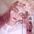 八妹、我买小米、麝月 - 褪变无路