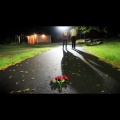 Wan、ReallyRashaun - Tell Me
