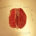 Spectre - Happiness Is a Warm Place (Explicit)