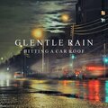 Gentle Rain Hitting a Car Roof