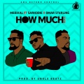 How Much ((Remix)(Explicit))