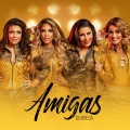 Amigas Do Brega、ELVIS - Conquista (AoVivo)