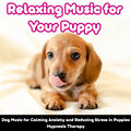 Relax My Puppy、Relaxmydog - Puppy and Dog Relaxation
