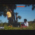 The Mood - Lies & Liquor (Explicit)