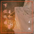 吴琬 - 可恨我是个将军