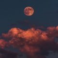TYGERLILY、Ab$ence、FLiP - To the Moon