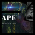 APE - Run a Check (Explicit)