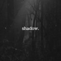 Fez - Shadow