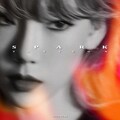 顾三十 - 火花 (Spark)(불티)