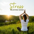 Chakra Healing Music Academy、Calming Music Sanctuary、Sacral Chakra Universe - Quiet & Relax