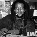 Mauritian All Stars、Jess Lafleur - Kaya