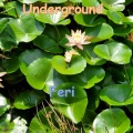 Feri - Contemplative Pause