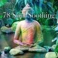 Meditacion Música Ambiente - Tranquility
