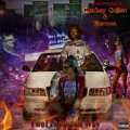 Jose Guapo、Various Artists、Marley Quinn、DMonei - Playing Around Wit a Check (Explicit)