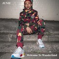 Junie - Welcome To Wanderland