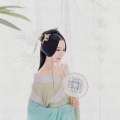 胡术文 - 良宵引