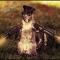Mauj、27 Nasc、rogg mc、Dnaul - Ela Colou Aqui Na Sul