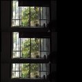 Crack Lord (Explicit)
