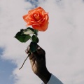Leona Lewis - Bleeding Love
