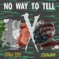 Zona Zem、Cloudy - No Way to Tell (Explicit)