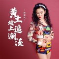 段喜凤 - 黄土坡上追潮流