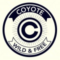 coyote - Ruyk