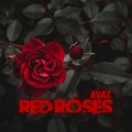 Avaz - Red Roses