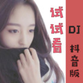 해볼래 (试试看)(DJ阿羽版)