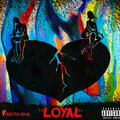 Presto D.M.B、Nicoya vache - Loyal