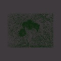 This Heart Will Remain Empty Forever (Explicit)