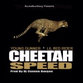 Cheetah Speed