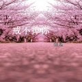 陈恳 - 戒不掉你