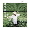 林迪、梦人 - 没有你以后