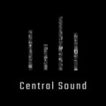 Central Sound、Richie Brand - Grave Song / Nothing but the Blood