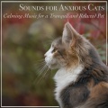 Sounds for Anxious Cats: Music for a Tranquil and Relaxed Pet