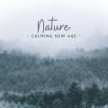 Rest、Relax Nature Sounds Artists、Sounds Of Nature、Nature Tribe - Soothing Sounds