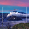 Levels (Remix)