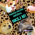 Nksj M! (feat. Halüna & Kněžbull)(Explicit)