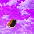 Edac - Orange Black (Explicit)