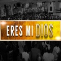 Juan Carlos Alvarado、Various Artists - Le Llaman Guerrero