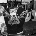 D'arro Vegas、Inky - NiNa (Explicit)