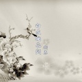 啊寒 - 白衣桃花剑