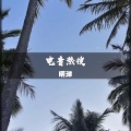 明洋 - 电音热搜 (DJ版)