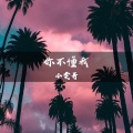 小雯哥 - 你不优秀认识谁都没用 (DJ版)