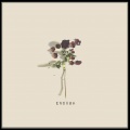 Counterfeit - Enough (Explicit)
