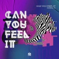 Can You Feel It (Radio Edit)