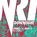 Bed Springs (Remixes) [Explicit]