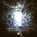 Liquid Soul - Cydonia (E-ClipRemix)