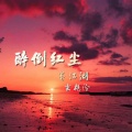 墨江湖、玄栀泠 - 醉倒红尘